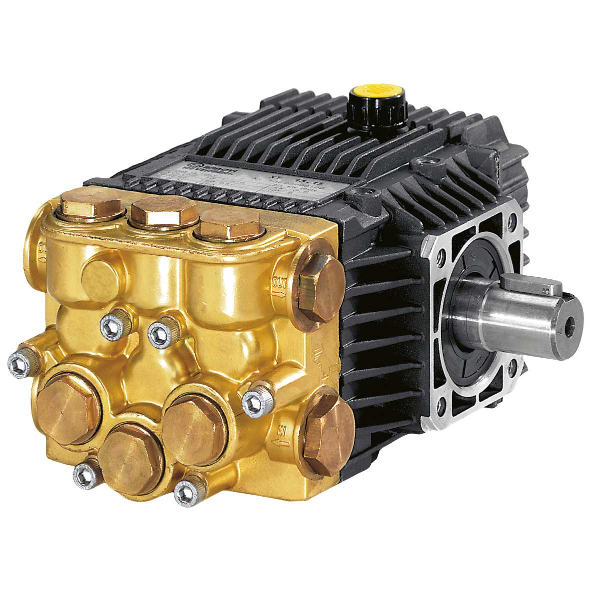 Motorpumpe Annovi Reverberi Serie 132