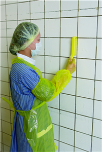 Vikan Handbürste schmal mit kurzem Stiel, extrahart, 300 mm