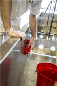 Vikan Waschbürste, L, hart 200 mm