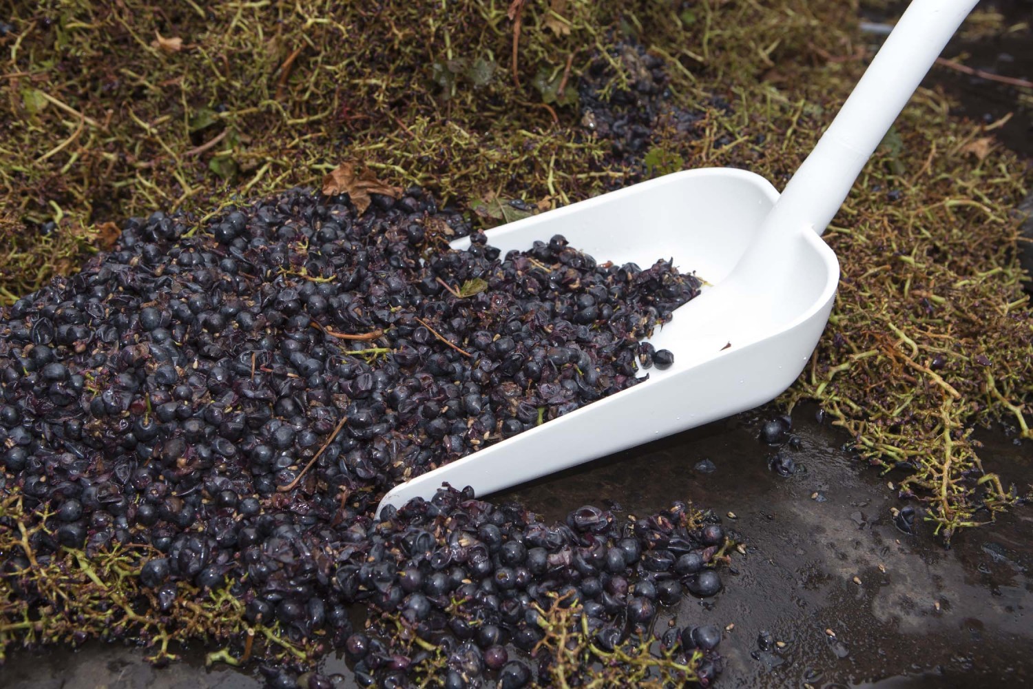 Vikan Ergonomische Schaufel, 340 x 270 x 75 mm, 1280 mm