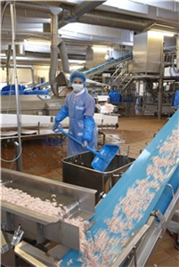 Vikan Schaufel, 1030 mm, kurzer Stiel und D Griff