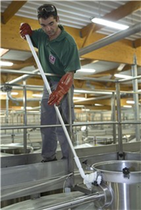 Vikan Waschbürste mit Drehgelenk & Wasserdurchlauf, 230 mm weich gesplisst