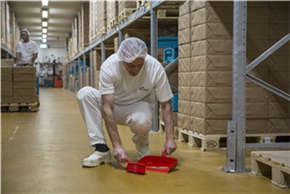 Vikan Kehrschaufel, 330 mm