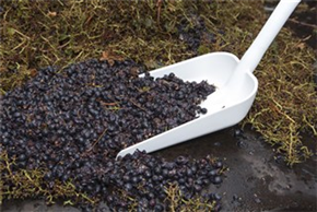 Vikan Ergonomische Schaufel, 380 x 340 x 90 mm, 1310 mm