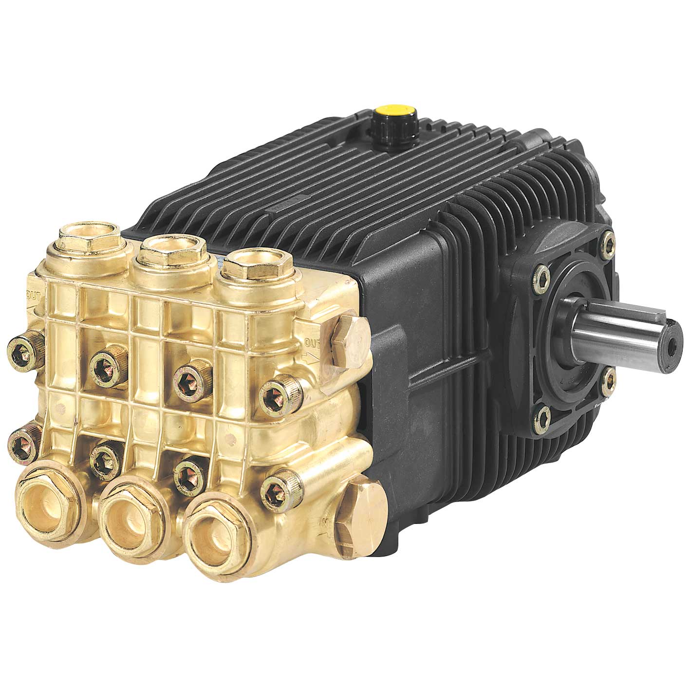 Motorpumpe Annovi Reverberi Serie 194