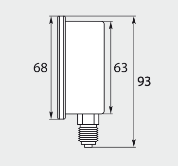Manometer, glyceringedämpft, 63 mm - Eingang unten