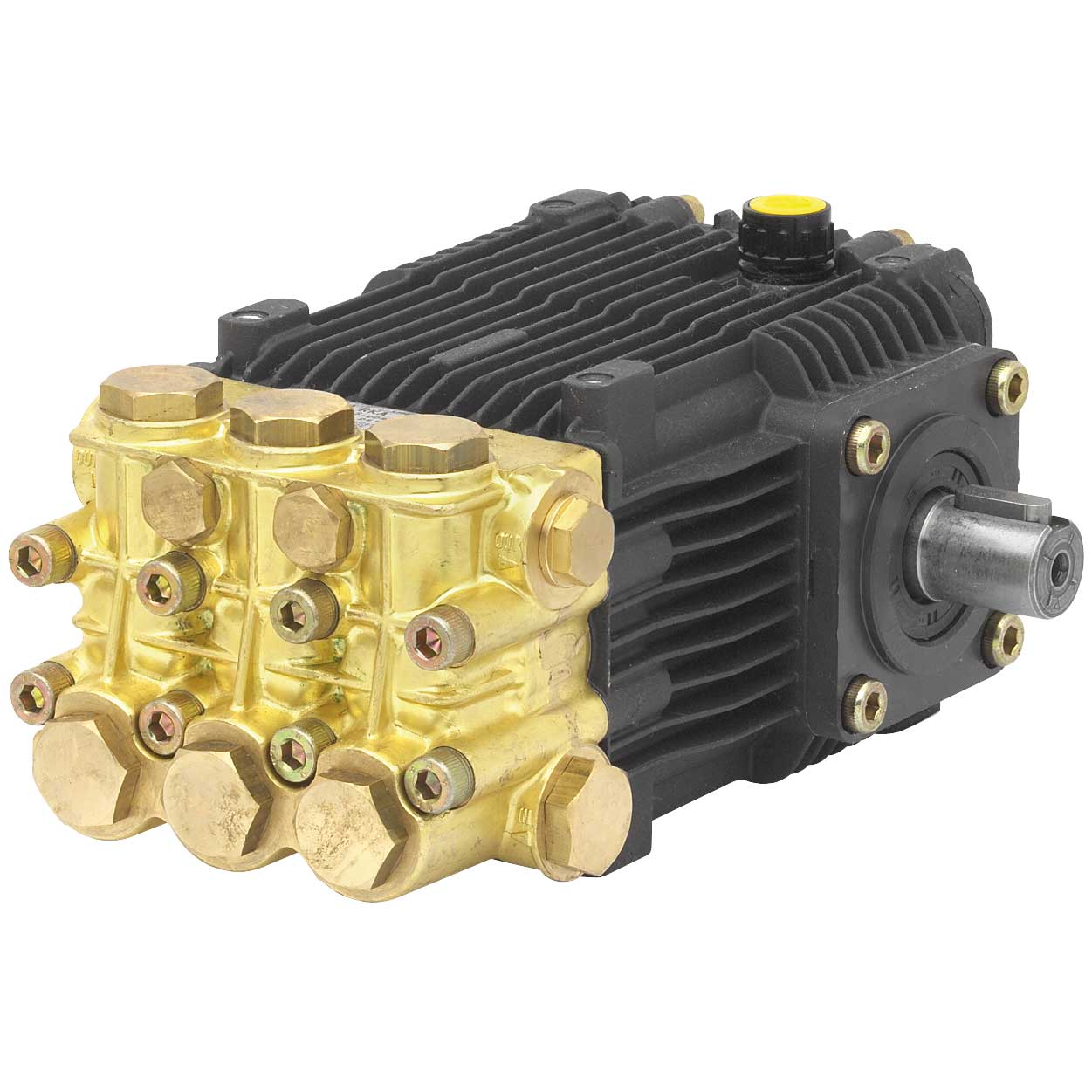 Motorpumpe Annovi Reverberi Serie 228, Typ "RK"