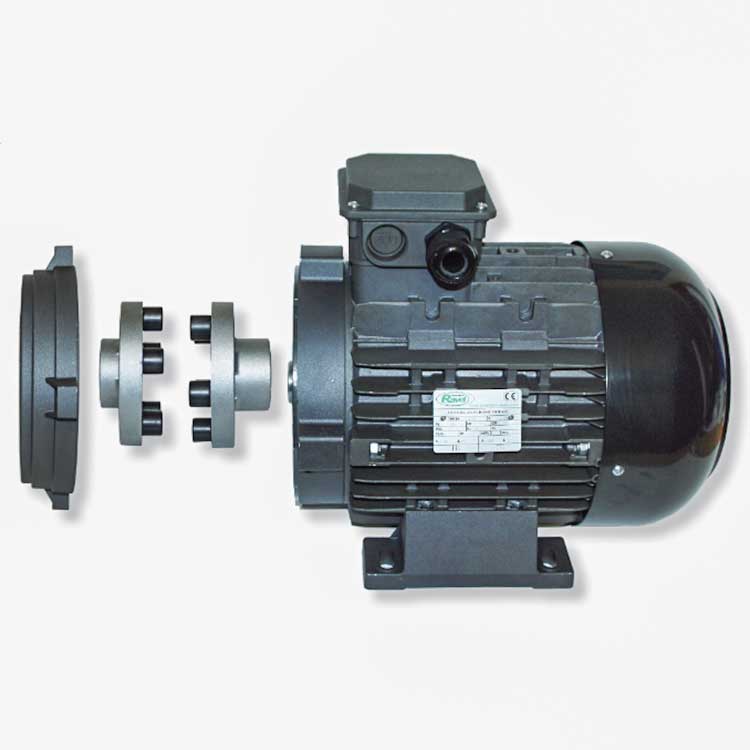 175002408-g Motoren mit integrierter elastischer Kupplung RVJ, IP54, 1.400 U/min