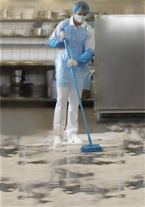 Food_and_Beverage_Image_-290x300 Vikan High-Low-Bürste/Winkelschrubber, 265 mm, medium