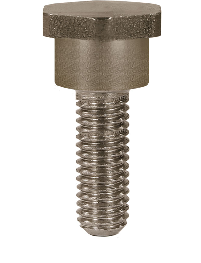 174-030-219 Befestigungsschraube für 1 Kolben, Hochdruckpumpe Hawk